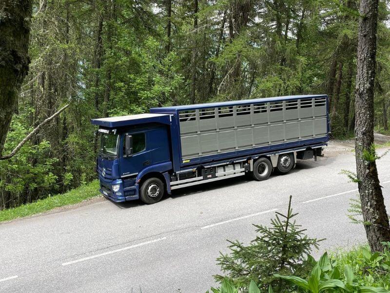 Camion équipé pour le transport d'animaux vivants en Savoie